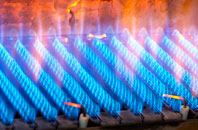 Warwick gas fired boilers